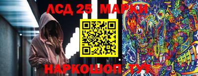 ПСИЛОЦИБИНОВЫЕ ГРИБЫ Гусев