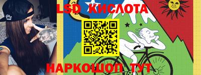 ПСИЛОЦИБИНОВЫЕ ГРИБЫ Гусев